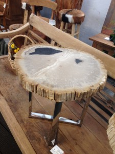 Versteinertes Holz